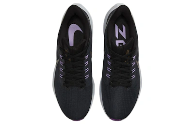 Nike Air Zoom Pegasus 39 'Anthracite Lilac' DH4071-008