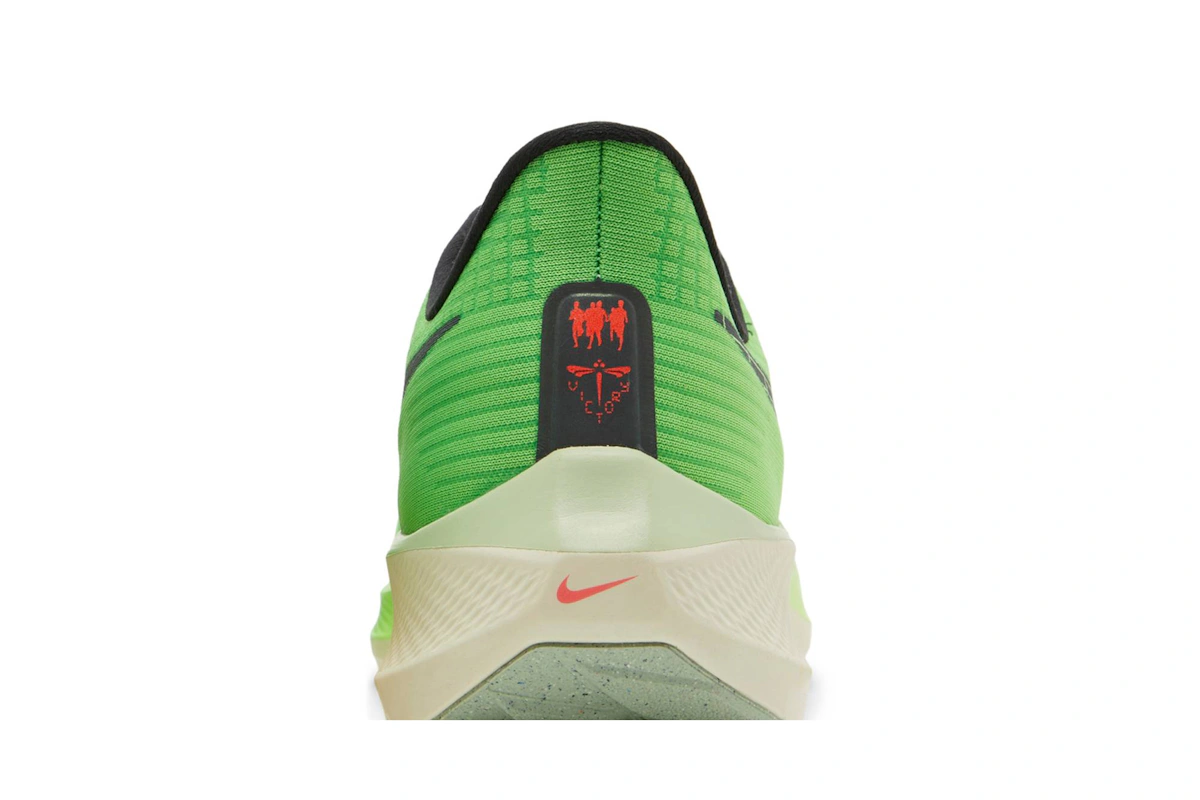 Nike Air Zoom Pegasus 39 'Ekiden Zoom Pack' DZ4776-343