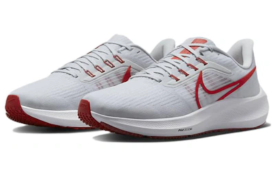 Nike Air Zoom Pegasus 39 'Platinum Tint Light Crimson'