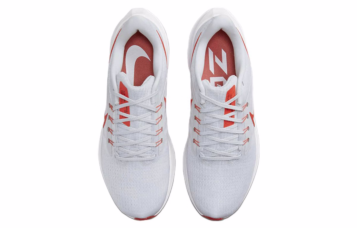 Nike Air Zoom Pegasus 39 'Platinum Tint Light Crimson'