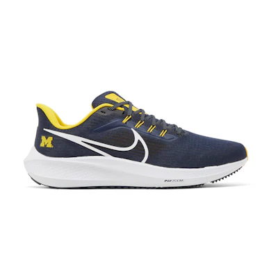 Nike Air Zoom Pegasus 39 'Michigan'