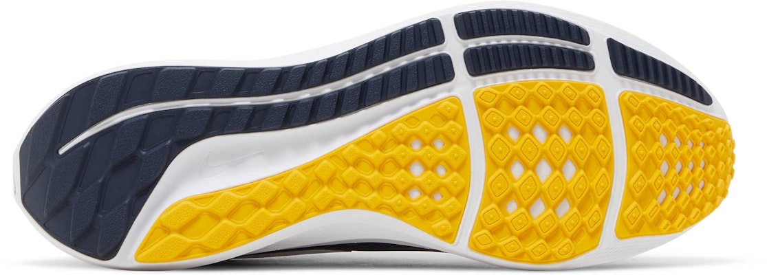 나이키 에어 줌 페가수스 39 '미시간' DR1964-400 Shop 나이키 에어 줌 페가수스 39 '미시간' DR1964-400