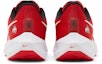 Details for Nike Air Zoom Pegasus 39 'Ohio State' Sepatu Lari Pria DR1966-600
