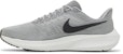 Nike Air Zoom Pegasus 39 'Kelabu Particle' DH4071-005