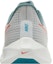 Sizing Nike Air Zoom Pegasus 39 'Pure Platinum Total Orange' Lelaki/Wanita DH4071-003