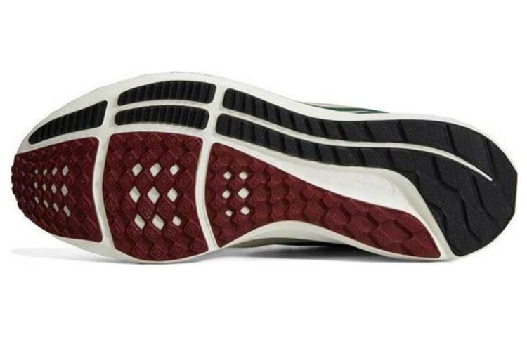 Details for Nike Air Zoom Pegasus 39 '藤綠峽谷' FB7161-231