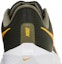 Sizing 耐克Air Zoom Pegasus 39 '杉木大学金' FD0785-300