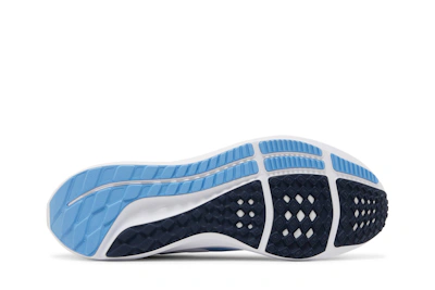 Nike Air Zoom Pegasus 39 'UNC' DR1967-400