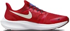 Order Nike Air Zoom Pegasus 39 FlyEase 'Siren Red' - Merah Siren. DJ7381-601