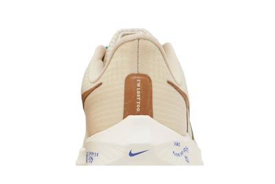 Nike Air Zoom Pegasus 39 Premium 'Moving Company' DV8922-100