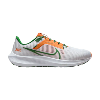 Nike Air Zoom Pegasus 40 'Florida A&M University'
