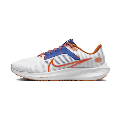 Nike Air Zoom Pegasus 40 'Florida Gators'