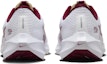 Purchase 耐吉 Air Zoom Pegasus 40 '佛羅里達州立大學' DZ5943-100