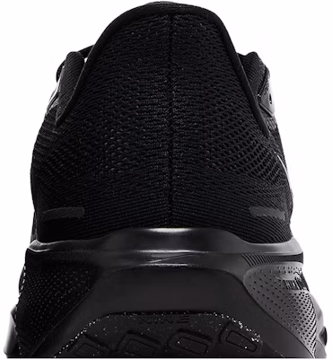 Nike Air Zoom Pegasus 41 'Black Anthracite' FD2722-001 Sizing Nike Air Zoom Pegasus 41 'Black Anthracite' FD2722-001