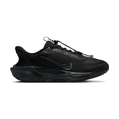 Nike Air Zoom Pegasus 41 EasyOn 'Black Anthracite'