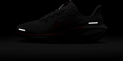 나이키 에어 줌 페가수스 41 FN5041-105 3