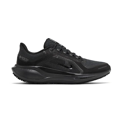 Nike Air Zoom Pegasus 41 GORE-TEX 'Black Anthracite'