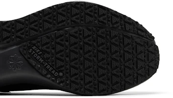 Details for Nike Air Zoom Pegasus 41 GORE-TEX '黑碳灰' FQ1356-001 FQ1356-001
