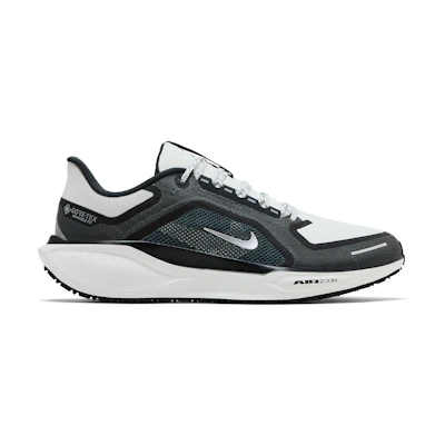 Nike Air Zoom Pegasus 41 GORE-TEX 'Iron Grey Summit White'