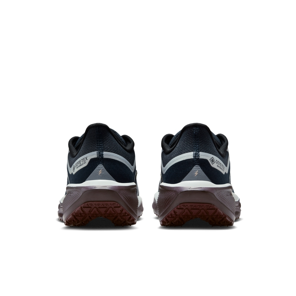 Details for (W) 耐克Air Zoom Pegasus 41 GTX跑鞋 FQ1357401