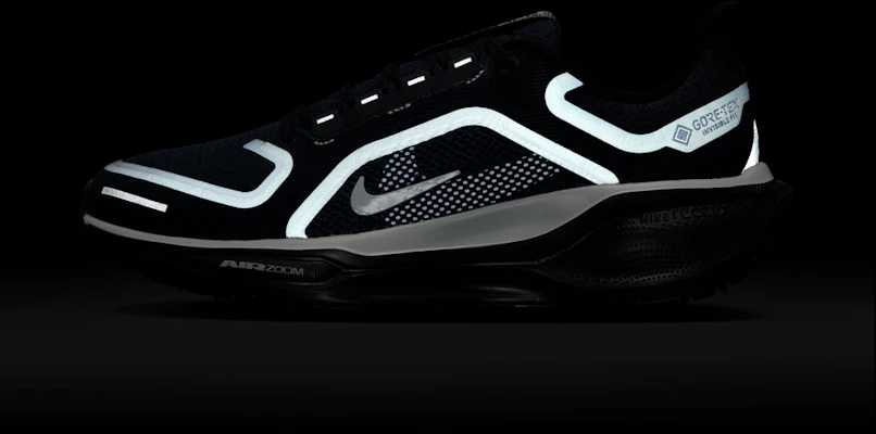 (W) 耐克Air Zoom Pegasus 41 GTX跑鞋 FQ1357401 1