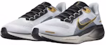 Shop 耐克 Air Zoom Pegasus 41 高级款'白色黑色金属金' HQ2938-100