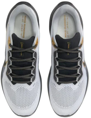 耐克 Air Zoom Pegasus 41 高级款'白色黑色金属金' HQ2938-100 Purchase 耐克 Air Zoom Pegasus 41 高级款'白色黑色金属金' HQ2938-100