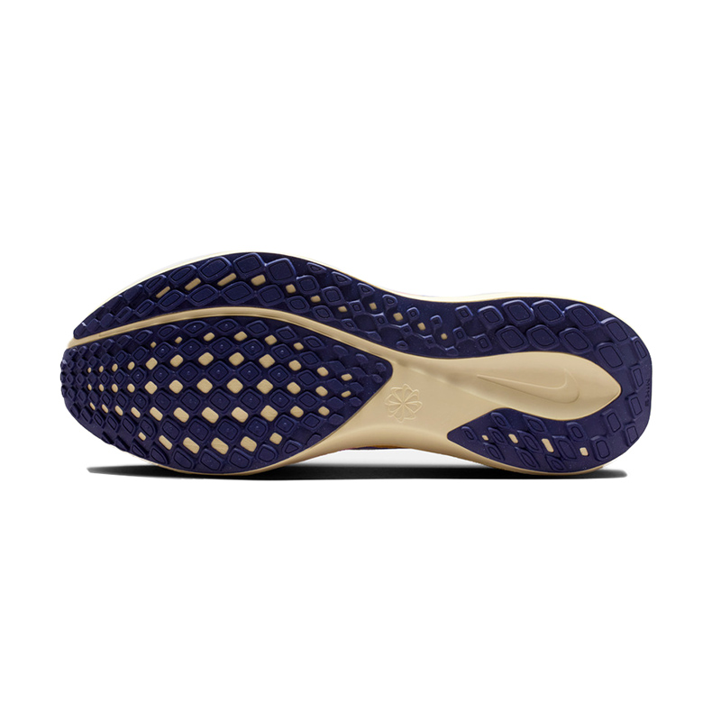 Purchase Kasut Lari Nike Air Zoom Pegasus 41 FD2722-703