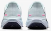 Details for (Women) NIKE Air Zoom Pegasus 41 Running Shoes IM6683159