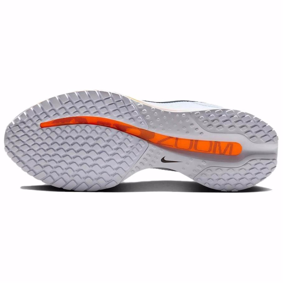 Nike Pegasus Premium 'Airscape'