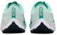 Nike Air Zoom Rival Fly 3 'Hijau Pudar Clear Jade' CT2405-399
