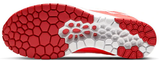 Details for 耐吉 Air Zoom Streak 7 白紅