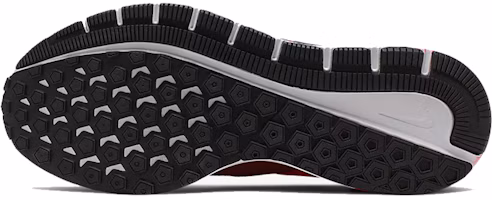 Purchase Nike Air Zoom Structure 22 ''Cèdre'' AA1636-600