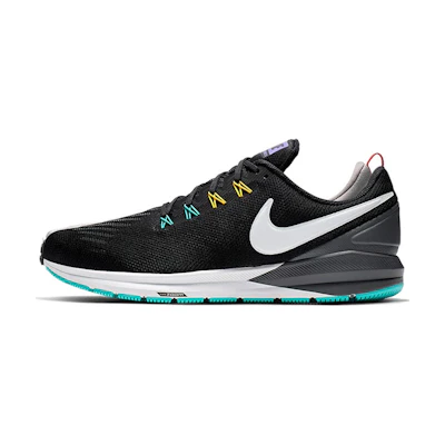 Nike Air Zoom Structure 22 'Dark Grey'