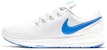 Nike Air Zoom Structure 22 'Kelabu Luas' AA1636-007