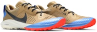 Cheap Nike Air Zoom Terra Kiger 5 'Beechtree' Lelaki/Wanita AQ2219-200