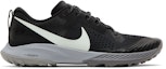 Buy Nike Air Zoom Terra Kiger 5 'Hitam' AQ2219-001