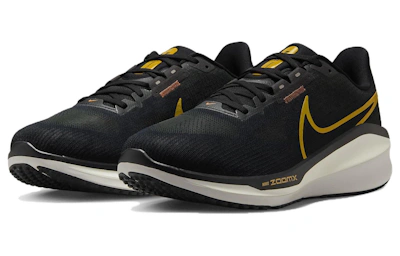 Nike Air Zoom Vomero 17 'Black Bronzine' FB1309-006
