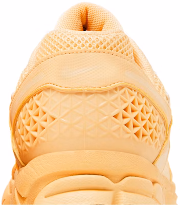 Nike Air Zoom Vomero 5 'Celestial Gold' Emas Celestial HF5493-200 Sizing Nike Air Zoom Vomero 5 'Celestial Gold' Emas Celestial HF5493-200