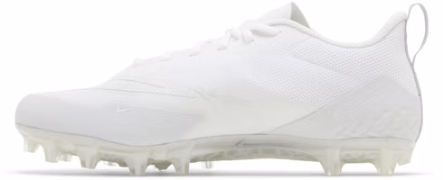 Lookbook Nike Alpha Huarache 8 Pro ''Bianco Pure Platinum'' CW4439-110