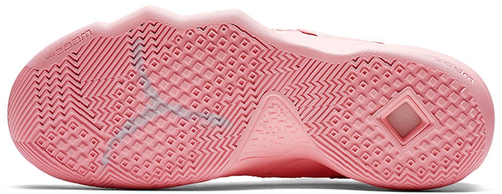 Nike Ambassador 10 'Kay Yow' AH9655-600 Details for Nike Ambassador 10 'Kay Yow' AH9655-600