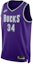 Buy Nike Antetokounmpo Milwaukee Bucks NBA Dri-Fit Jersey Purple