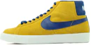 Buy Nike SB Blazer 耐磨減震 高幫 板鞋 男女同款 金箔色