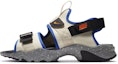 Buy Nike Canyon Sandal 'Fossil Hyper Royal' CW9704-202