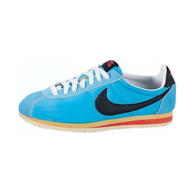 Nike Cortez Nylon VNTG 'Blue'