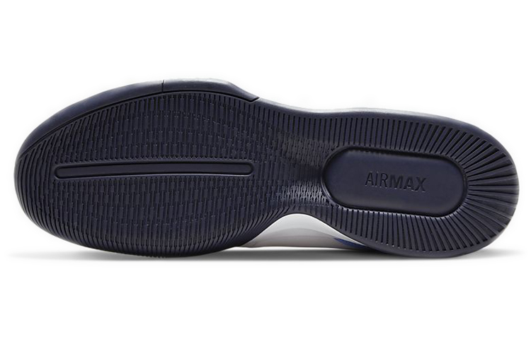 Details for Nike Court Air Max Wildcard ''Wit Blauw'' AO7351-106