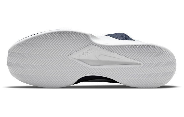 Details for Nike Court Vapor Lite Grau/Blau DH2949-007