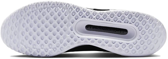 Details for 耐吉 Court Zoom Pro '黑白' DV3278-001