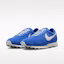 Purchase Nike Daybreak SP Hyper Royal/Sail/Pale Ivory/Photon Dust IQ0635-400