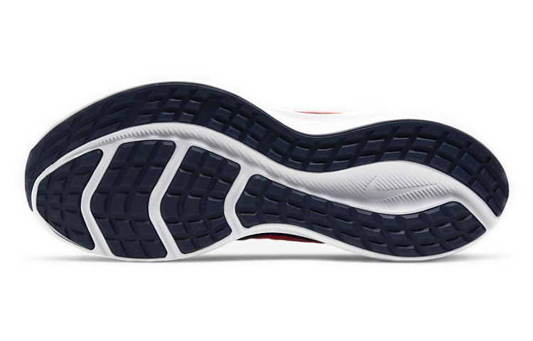 Details for Nike Downshifter 10 'Blue Red' CI9981-400